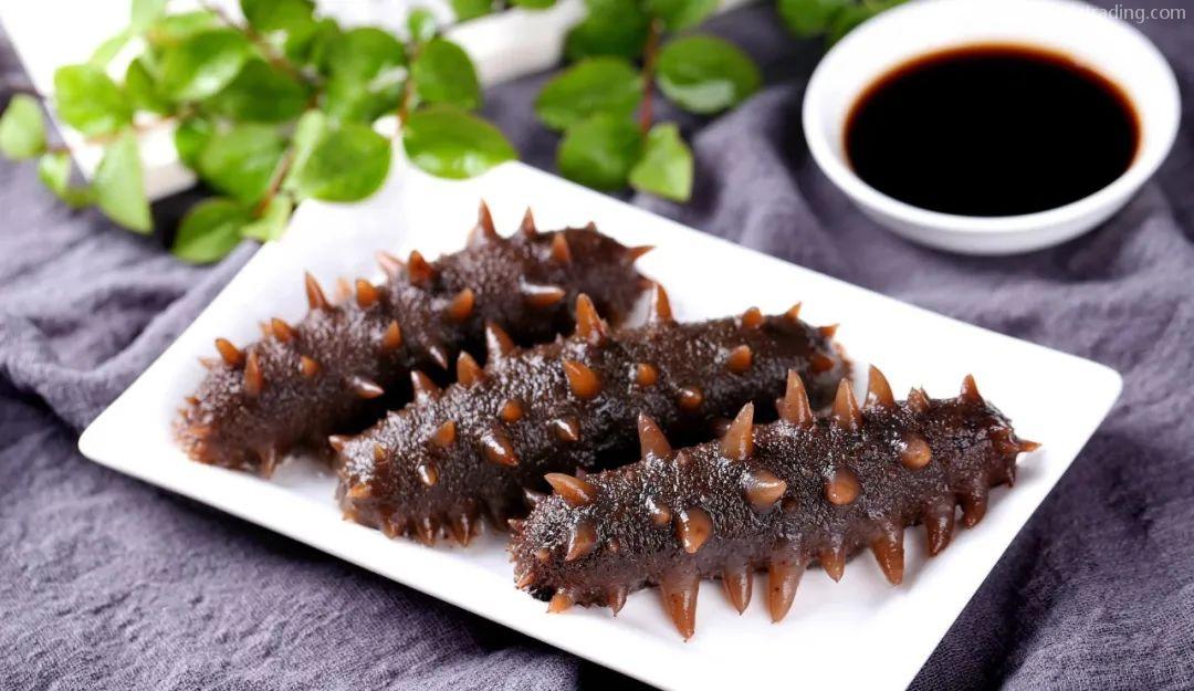 【進口指南】食品海參進口流程(內(nèi)附詳請) 【進口指南】食品海參進口流程(內(nèi)附詳請)