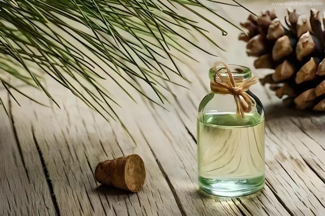 【進(jìn)口知識(shí)】一文了解松香類產(chǎn)品 【進(jìn)口知識(shí)】一文了解松香類產(chǎn)品