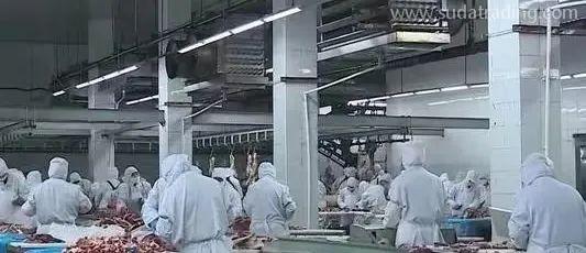 【進(jìn)口知識(shí)】進(jìn)口俄羅斯牛肉檢驗(yàn)檢疫和衛(wèi)生要求 【進(jìn)口知識(shí)】進(jìn)口俄羅斯牛肉檢驗(yàn)檢疫和衛(wèi)生要求