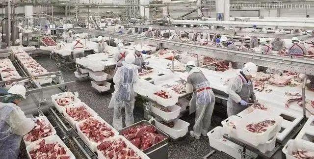 【進(jìn)口知識(shí)】進(jìn)口俄羅斯牛肉檢驗(yàn)檢疫和衛(wèi)生要求 【進(jìn)口知識(shí)】進(jìn)口俄羅斯牛肉檢驗(yàn)檢疫和衛(wèi)生要求